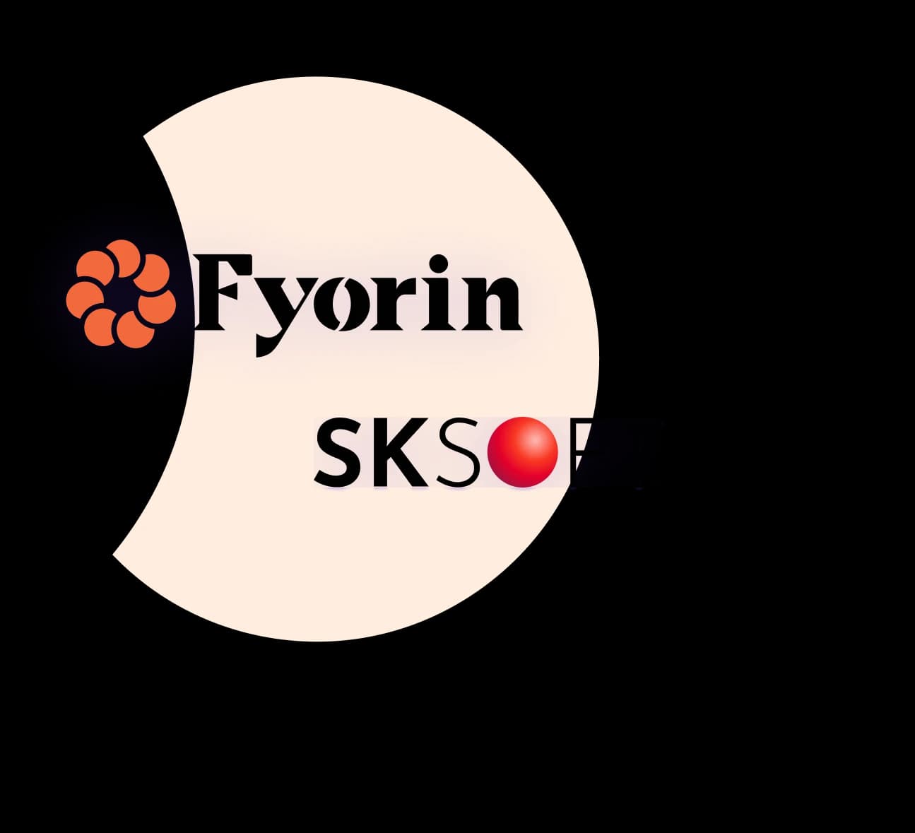 SKsoft vs Fyorin