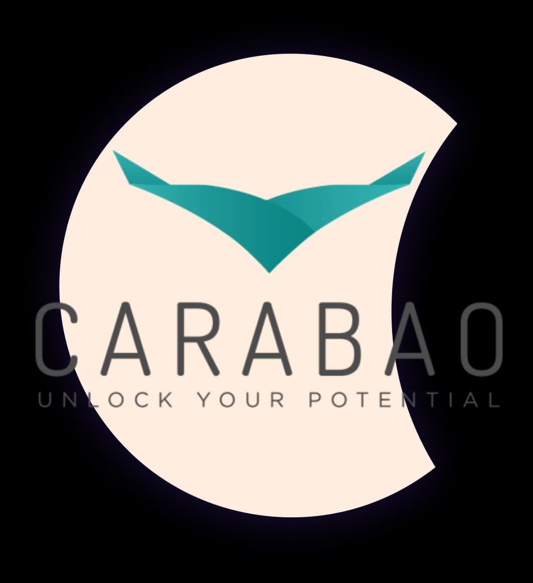 Carabao Solutions | Partnerships